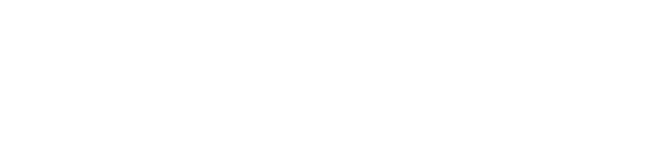 Hanne & Hamann IT Dienstleistungen